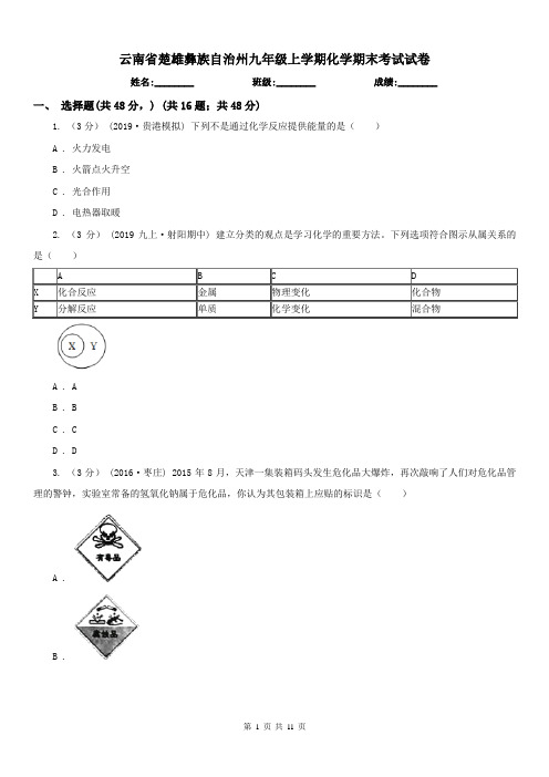 云南省楚雄彝族自治州九年级上学期化学期末考试试卷