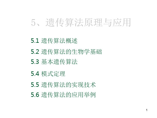 遗传算法原理-转转大师