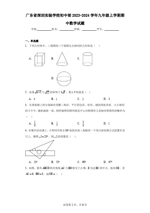 广东省深圳实验学校初中部2023-2024学年九年级上学期期中数学试题