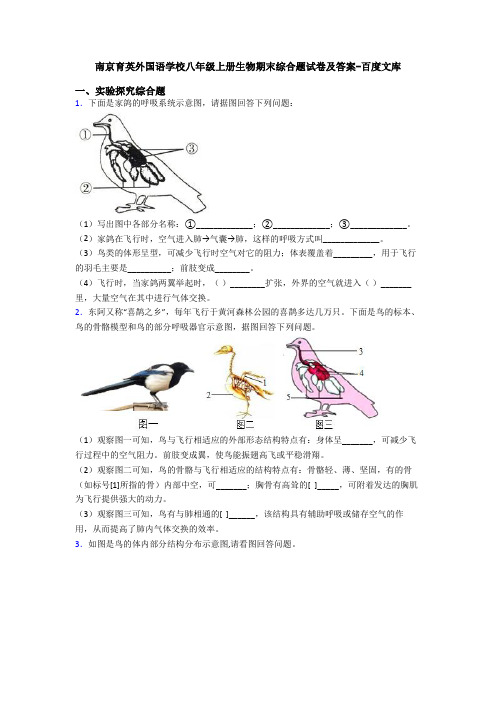 南京育英外国语学校八年级上册生物期末综合题试卷及答案-百度文库