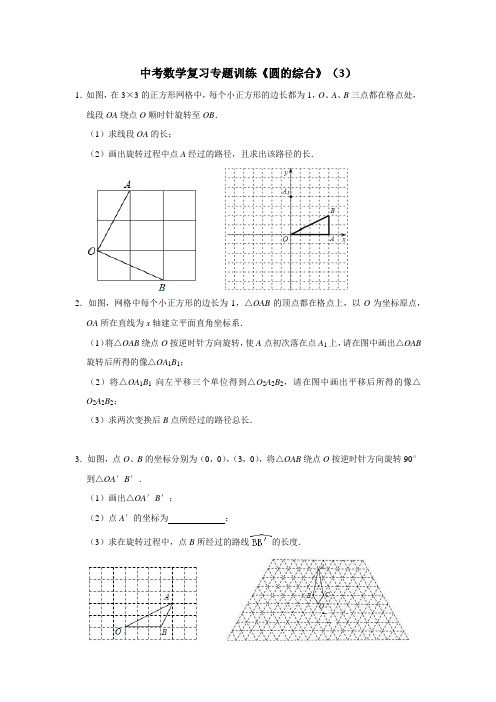 中考数学复习专题训练《圆的综合》(3)