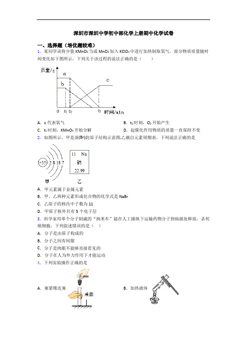 深圳市深圳中学初中部初三化学上册期中初三化学试卷