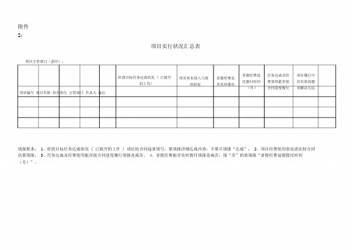 项目实施情况汇总表