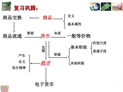 第一课第二框 信用卡、支票和外汇(共24张PPT)