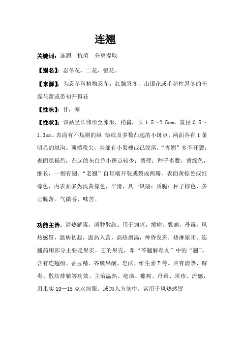 连翘