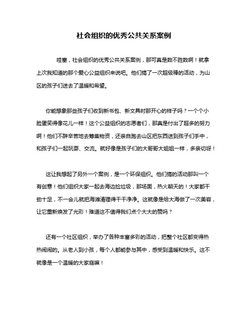 社会组织的优秀公共关系案例