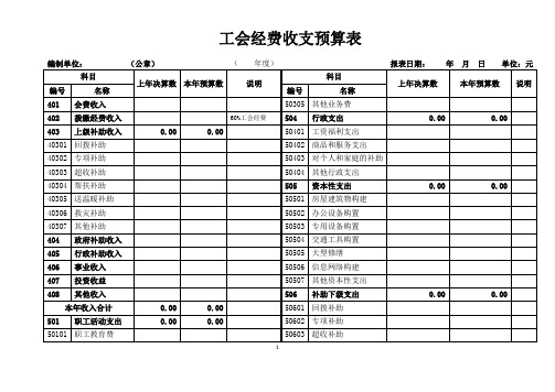 工会经费收支预算表(2022年财务报表模板)