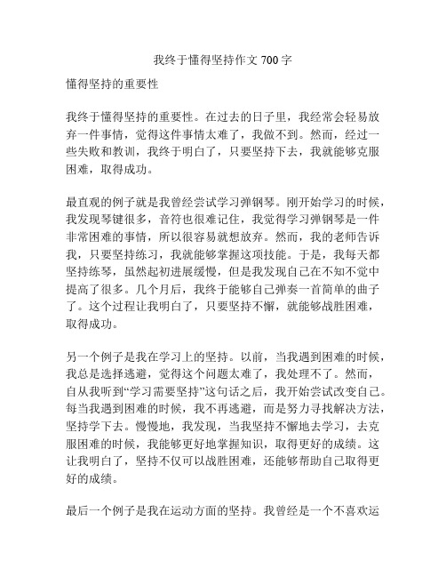 我终于懂得坚持作文700字