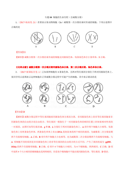 专题06 细胞的生命历程(含减数分裂)-三年高考(2021-2021)生物试题分项版解析(解析版)