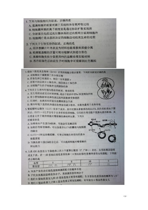 黑龙江省哈尔滨市第三中学校高三理综(生物部分)二模考试试题(扫描版)