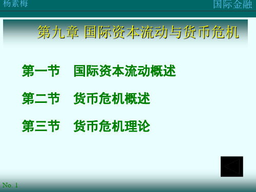 国际资本流动与货币危机