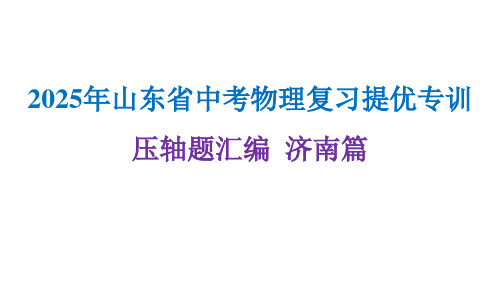 2025年山东省中考物理复习提优专训(压轴题汇编+济南篇)