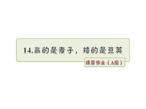 六年级上册语文课件14.高的是麦子,矮的是豆荚作业(A组)_长春版