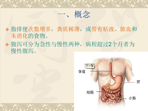 健康评估腹泻PPT课件