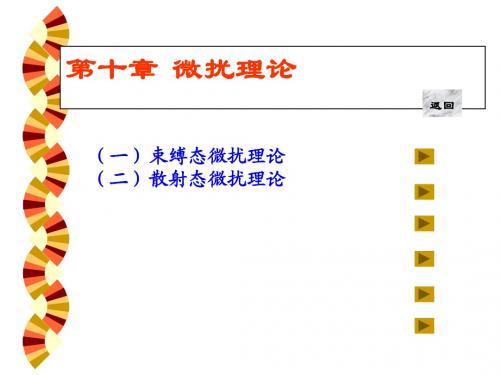 第十章 微扰理论