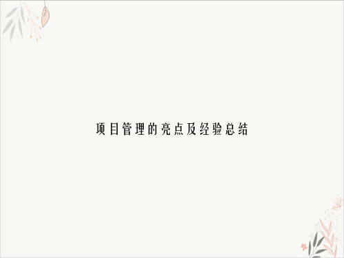 项目管理的亮点及经验总结课件-PPT