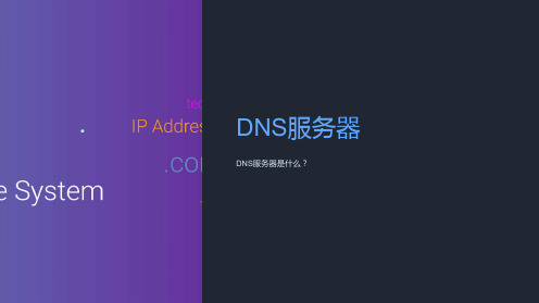 《DNS服务器》课件