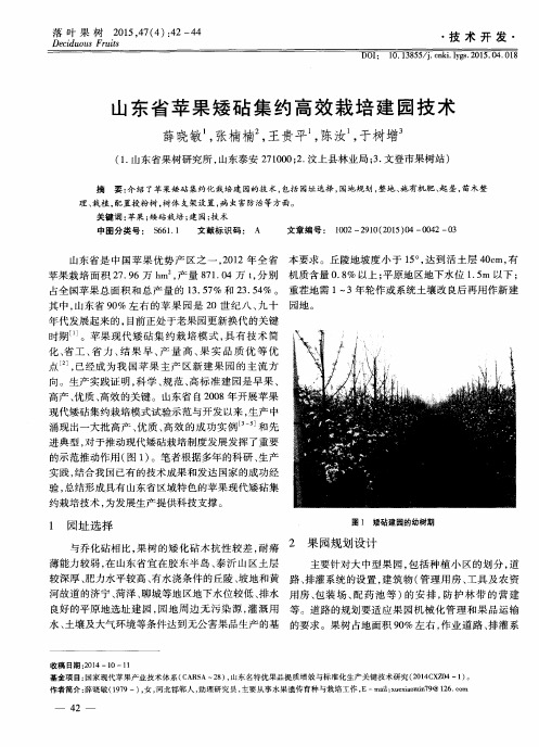 山东省苹果矮砧集约高效栽培建园技术