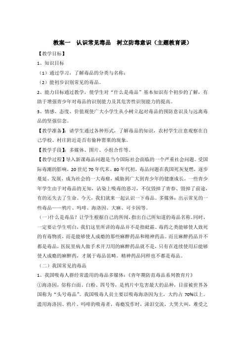 认识毒品禁毒教育教案系列