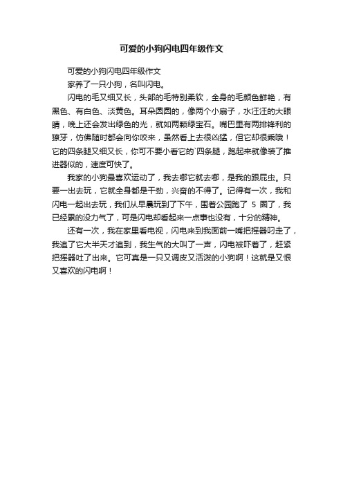 可爱的小狗闪电四年级作文