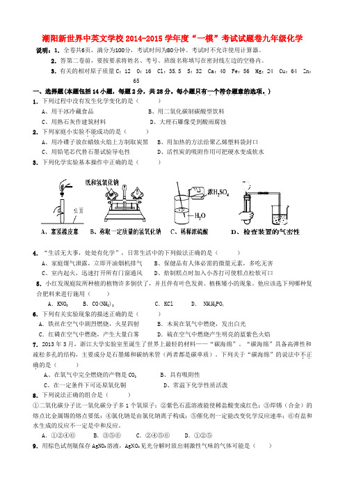 广东省汕头市潮阳市新世界中英文学校九年级化学下学期第一次模拟考试试题(无答案)