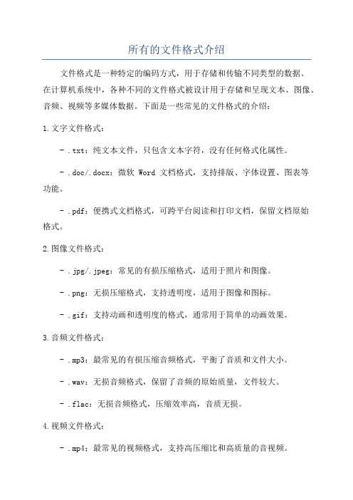 所有的文件格式介绍