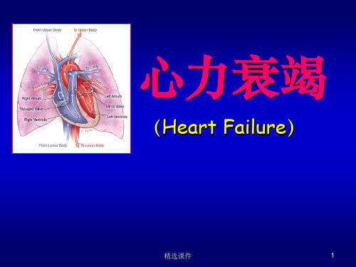 心力衰竭(经典)ppt课件