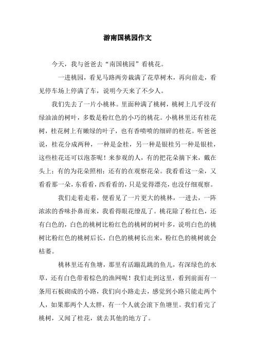 游南国桃园作文_1