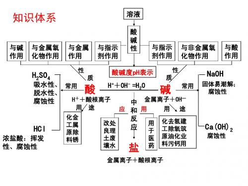 中考化学酸碱盐总复习课件2