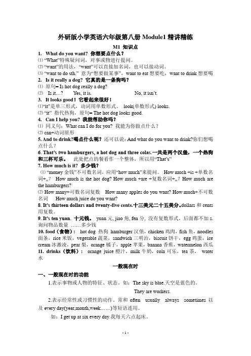 外研版小学英语六年级第八册Module1精讲精练