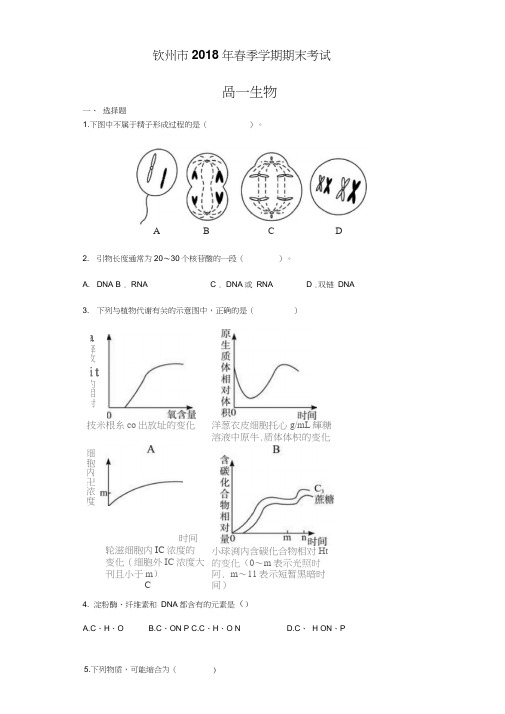 2017-2018学年高一下学期期末考试生物试题(B卷)含答案