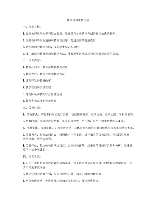 教师培训带教计划