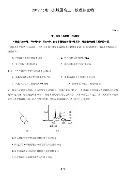 2019北京市东城区高三一模理综生物