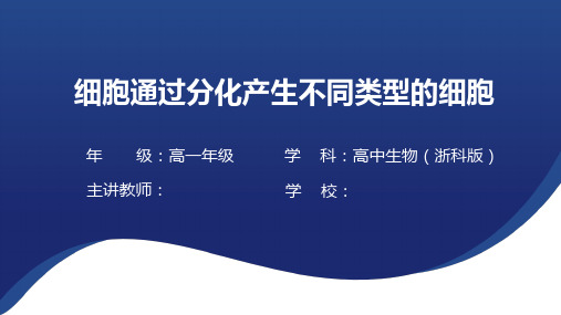 第二节_细胞通过分化产生不同类型的细胞-教学课件-2024-2025学年高中生物必修第1册同步教学资