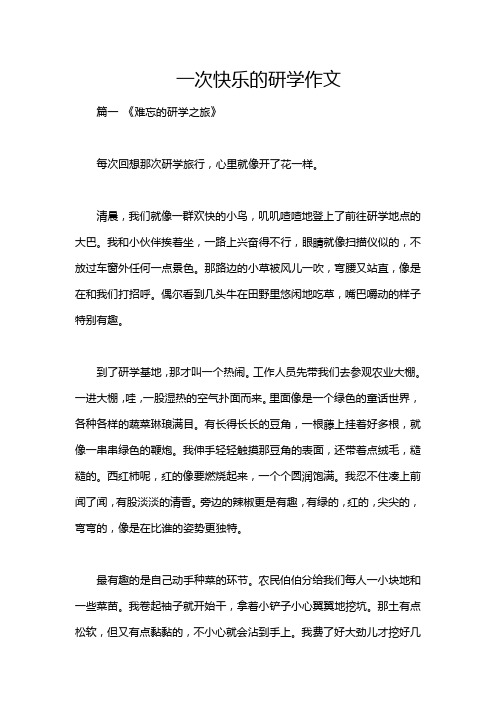 一次快乐的研学作文