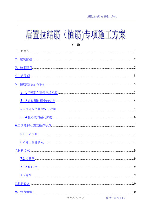 后置拉结筋(植筋)专项施工方案