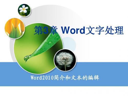 第3章 Word文字处理