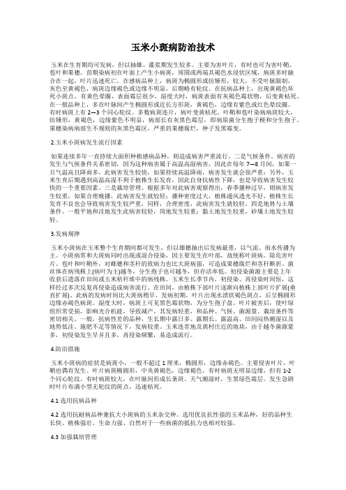 玉米小斑病防治技术