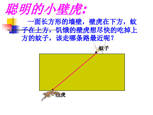 立体图形的表面展开图