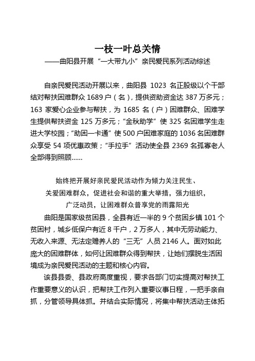 亲民爱民综述-稿6