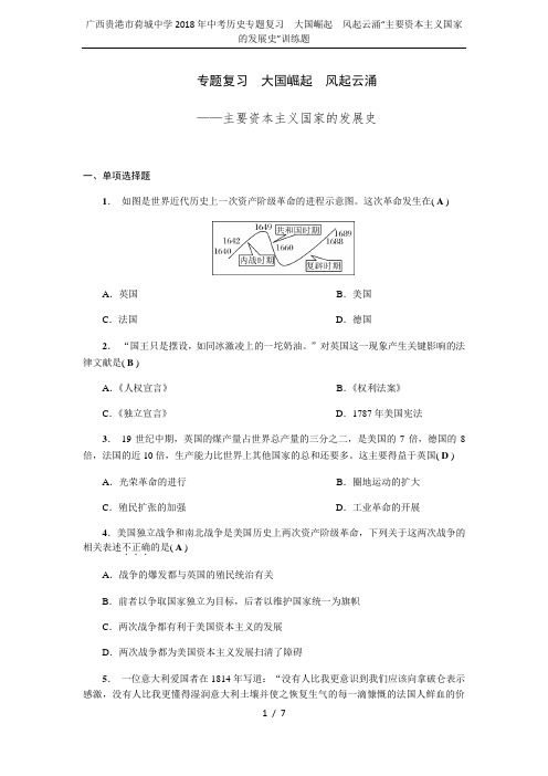 广西贵港市荷城中学2018年中考历史专题复习  大国崛起  风起云涌“主要资本主义国家的发展史”训练