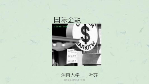 国际金融(湖南大学-叶芬)课件