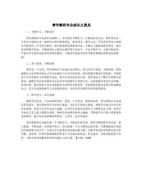 青年教师专业成长之我见