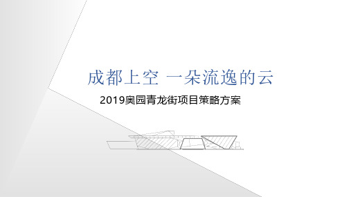 奥园青龙街项目提报方案