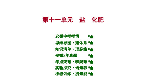 安徽中考复习 人教版化学 教材基础 第十一单元 盐 化肥 课件