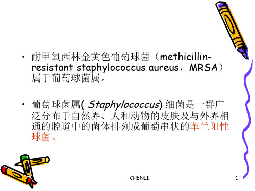 耐甲氧西林金黄色葡萄球菌(MRSA)