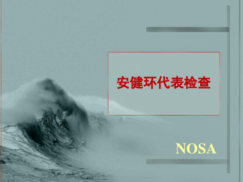 安健环代表检查