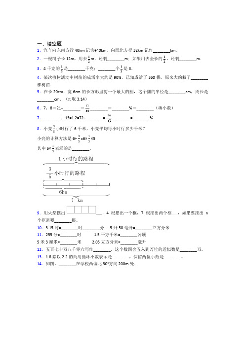 【精选试卷】山东省潍坊第一中学小升初数学填空题专项练习经典练习题(含答案解析)