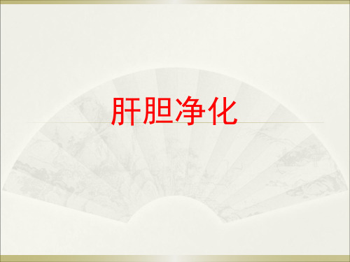 肝胆净化