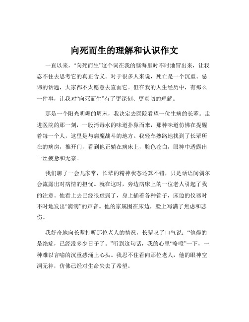 向死而生的理解和认识作文